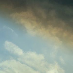 Meet your Posher, Alexia